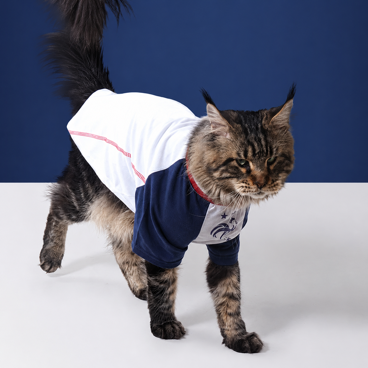 France FFF Pet Raglan T-Shirt